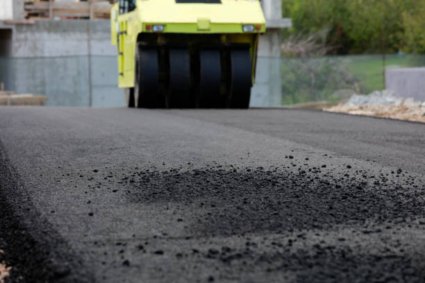 Professional Driveway Pavers in Apollo Beach, FL