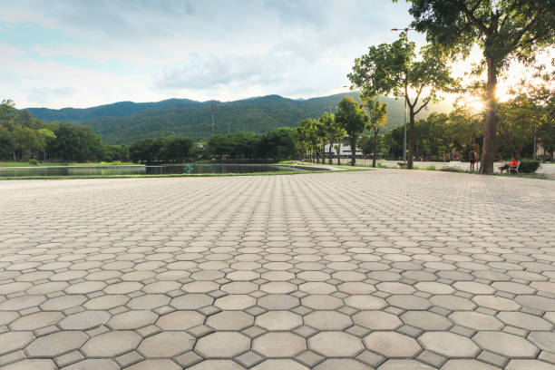 Best Concrete Paver Driveway  in Apollo Beach, FL