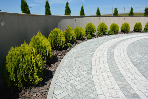 Best Best Driveway Pavers  in Apollo Beach, FL