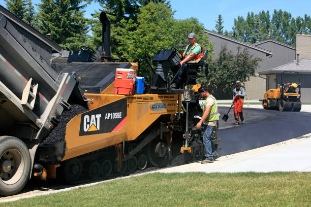 Best Decorative Driveway Pavers  in Apollo Beach, FL